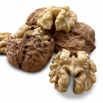 Nueces Dapao Yunnan orgánicas frescas