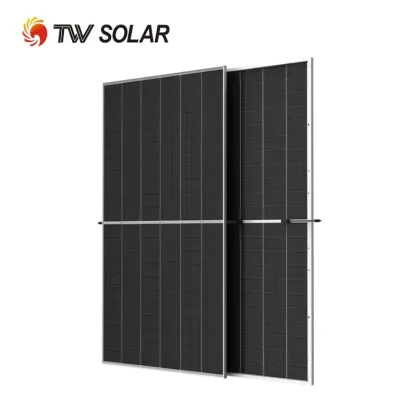 Tongwei TW Bifacial Solar Modules TWMHF-66HD 695W-715W Double Glass PV Panels