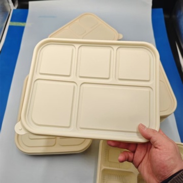Biodegradable PLA Food Container with Lid