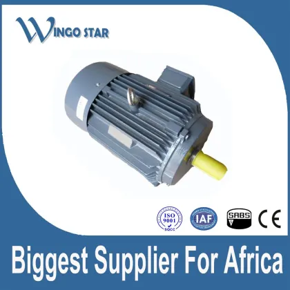 Asynchronous small electric motors