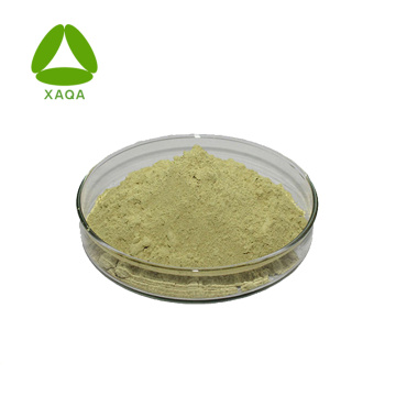 Cnidium Monnieri Extract Imperatorin 98% Powder Cas 482-44-0