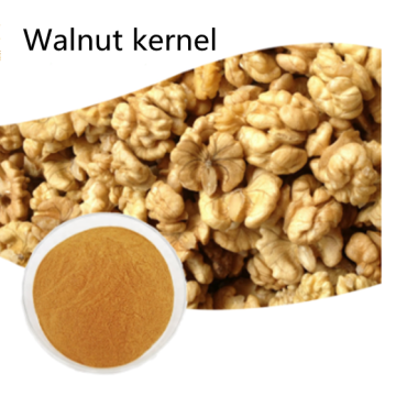 Pharmaceutical Price Organic Walnut Kernel Powder Supply