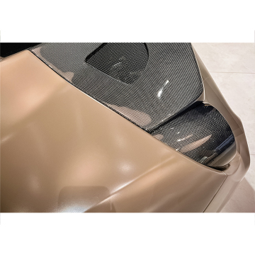 Darwinpro Carbon Fibre Tail Cover per Ferrari 488 GTB &amp; Spyder