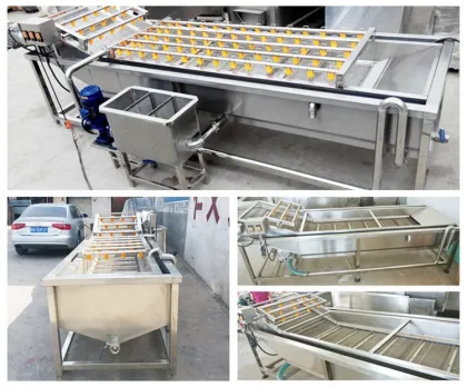 Vegetable Washing Drying Machine & Fruit Vegetable Washing Line