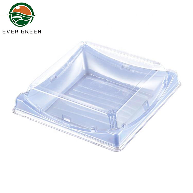 Rectangle plastic sushi plate