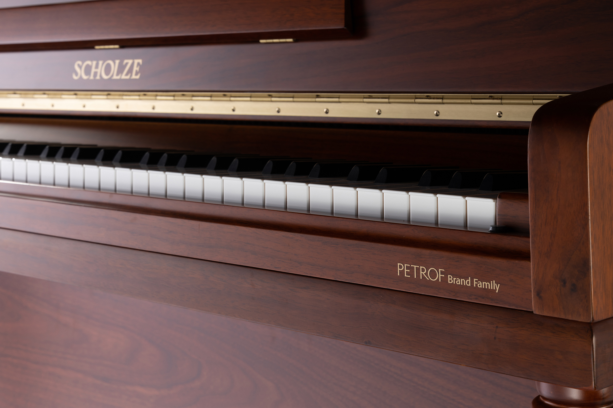 Petrof · Scholze NS-3H pianinowy orzech matowy Muzyka Nauczanie 123 cm Europejskie Petrof Craft Professional Acoustic Piano