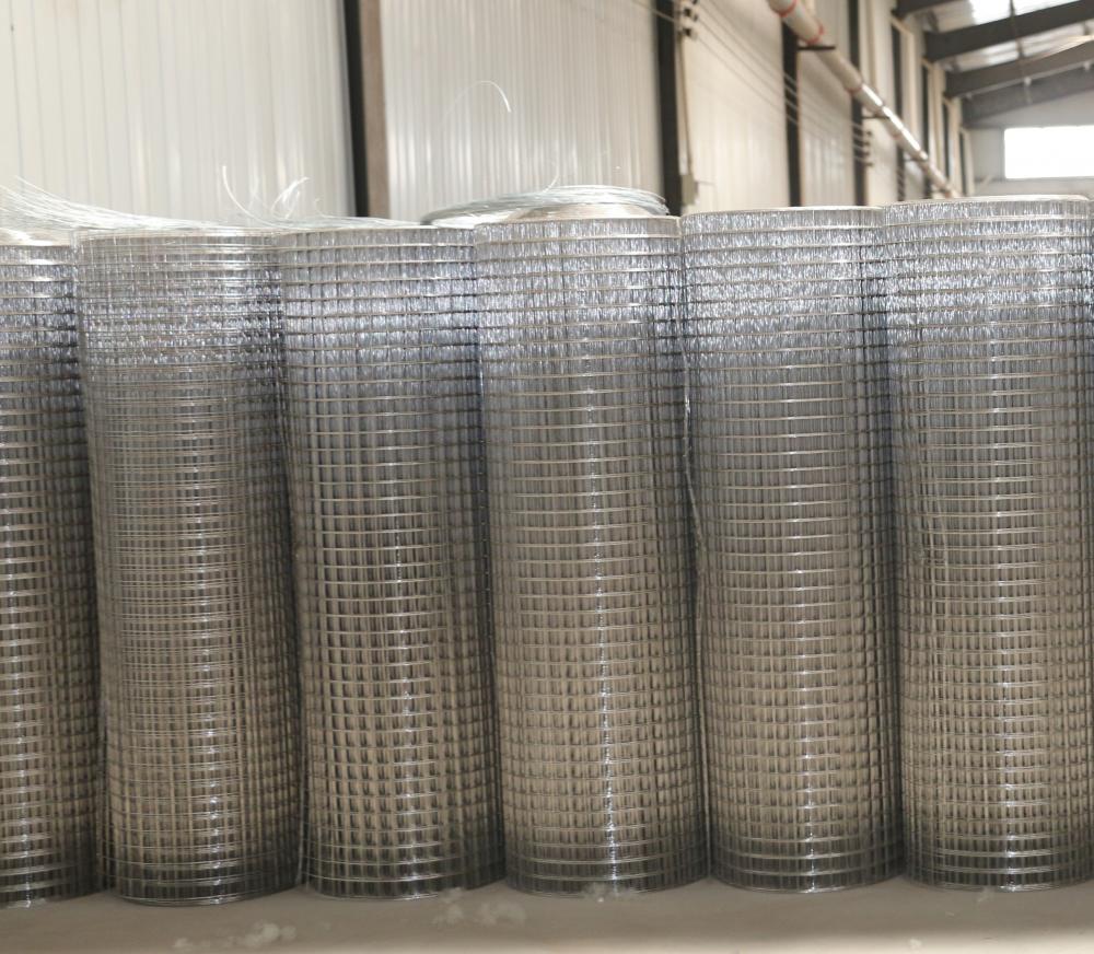 Iron electro galvanized welded wire mesh