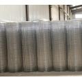 Iron electro galvanized welded wire mesh