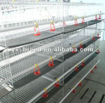 Poultry raising cages for broilers