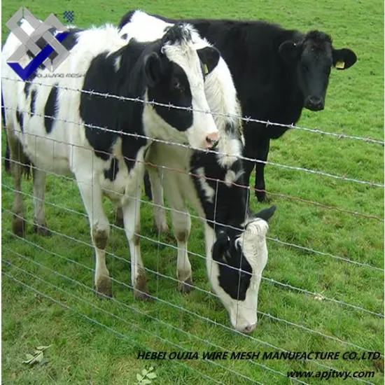 China Anping factory supply stainless steel kraal network/goat fencing