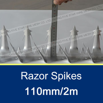 110mm/2m Galvanized Razor Spike for Sale