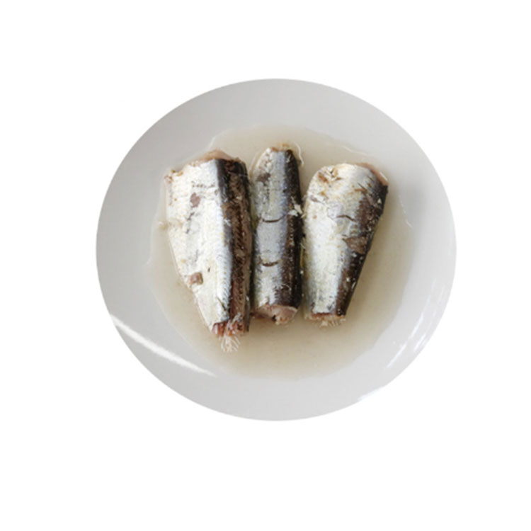 سمك السردين المعلب عالي الجودة في الزيت النباتي