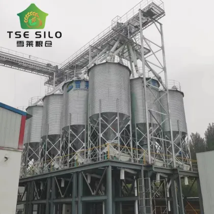100m³ Farm Livestock Feed Silo for Pig Farm Feeds