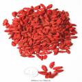 High Quality Lower Price kering merah goji berry / wolfberry