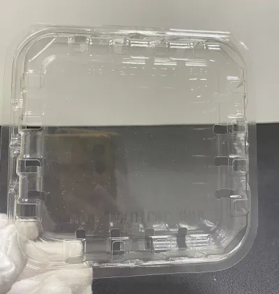 Wholesale disposable Blueberries Clam packaging