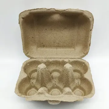 Eco-Friendly 6-Hole Paper Egg Tray