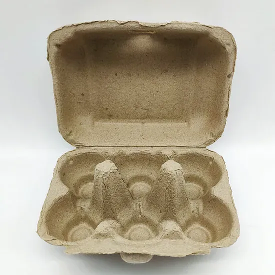 Eco-Friendly 6-Hole Paper Egg Tray