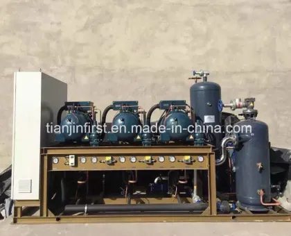 Compressor Unit for Cold Storage Refrigeration/ Cold Room