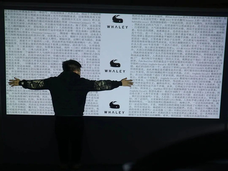 super large projector screen