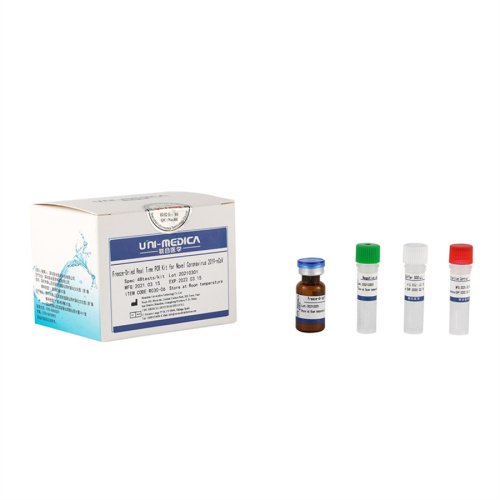 Kit de PCR en tiempo real de liofilización para novela Coronavirus 2019-NCOV (ORF1AB, N)