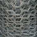 Hexagonal Wire Netting with Galvanized Wire Hexagonal Wire Netting - Galvanized before weave Factory