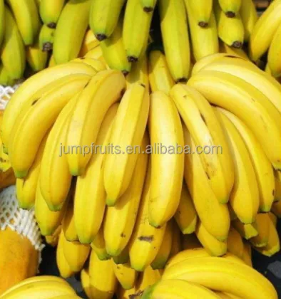 Banana Milk Drink Processing Machine