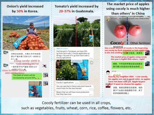 6Cocoly, the 1st granular water-soluble fertilizer in China