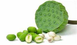 Lotus seed heart extract