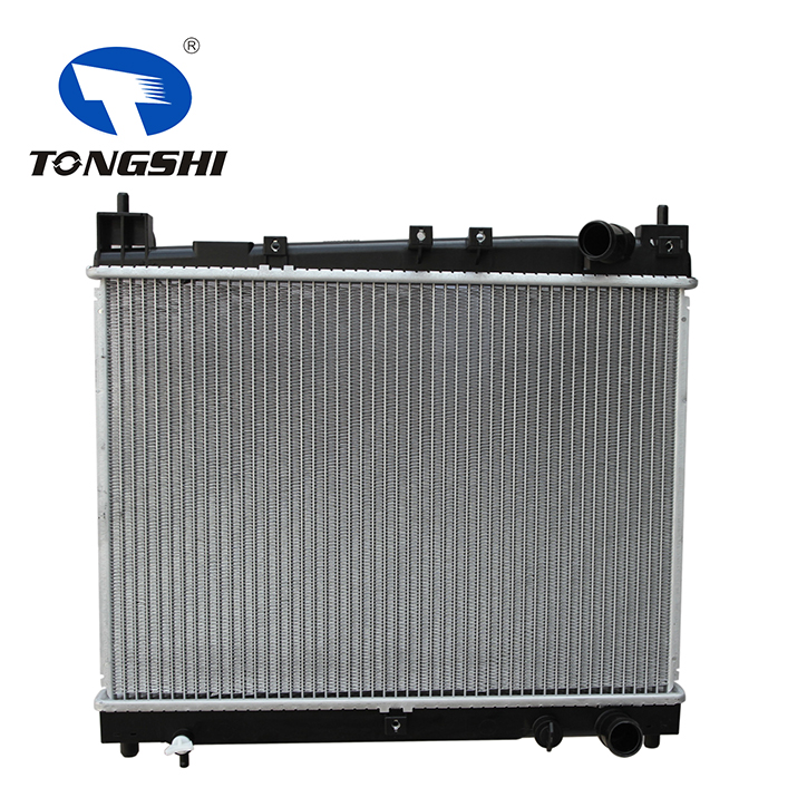 OE 1640021060 / 1640021080 Radiator for TOYOTA ECHO NCP