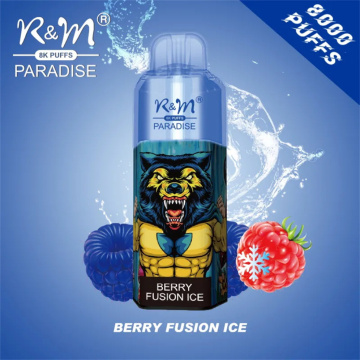 Customs Disposable Electronic Cigarette R&M Paradise 8K