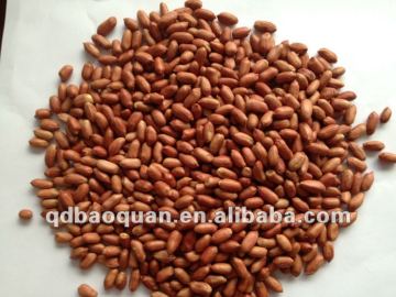 Roasted Red Skin Peanuts