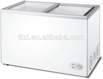 100L flat glass door freezer/SD-100 sliding door freezer