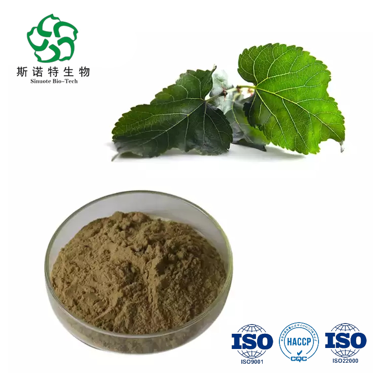 Hot Sell Pure Natural Mulberry Leaf Extract Powder