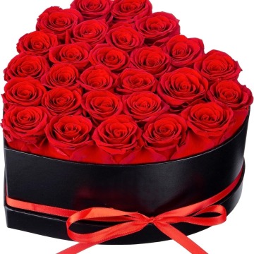 ทุกความรักของ Amazon Hot Sale: Eternal Forever Flower ได้รับการเก็บรักษาไว้