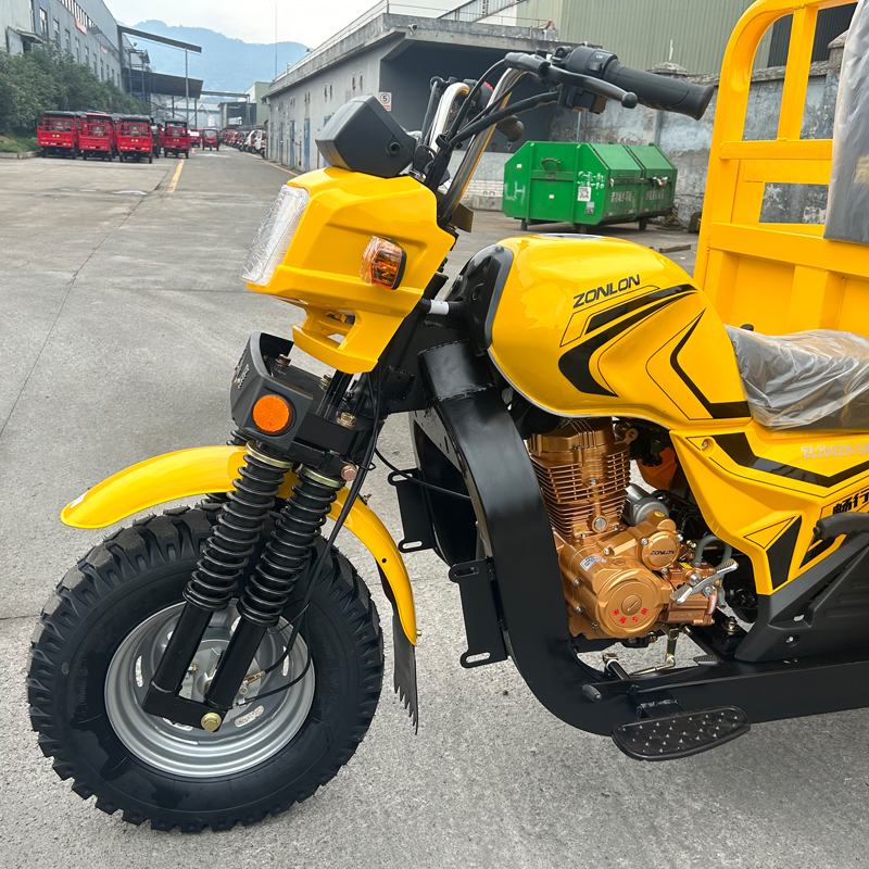 Fuel Powered Passenger Tricycle