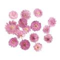 10pcs Pressed Real Dried Flower Vivid Dry Leaves for DIY Crafts Bookmark Card Making Phone Case Embellishment Supplies