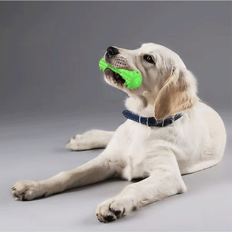 পোষা প্রাণীদের জন্য মজাদার এবং টেকসই চিউ খেলনা