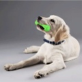 Fun and Durable Chew Toys for Pets