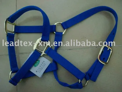 Horse equipment