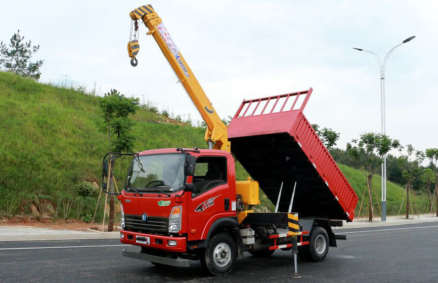 tipper crane truck 1