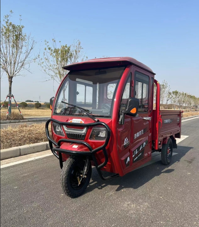 Cargo Electric Tricycle