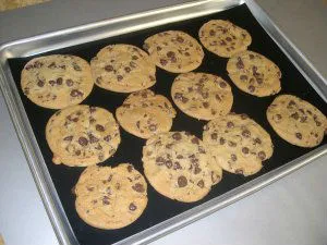 Non-Stick Permanent Baking Liner