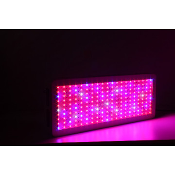 Hurtownie wysokiej jakości Full Spectrum Led Grow Lights