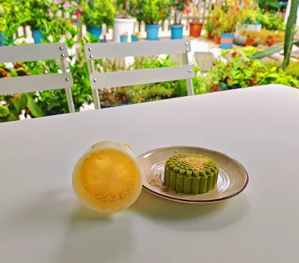 Hot Selling Plastic Hand Mooncakes Mold Stamp Plastic Food Set Moon Cake Mould