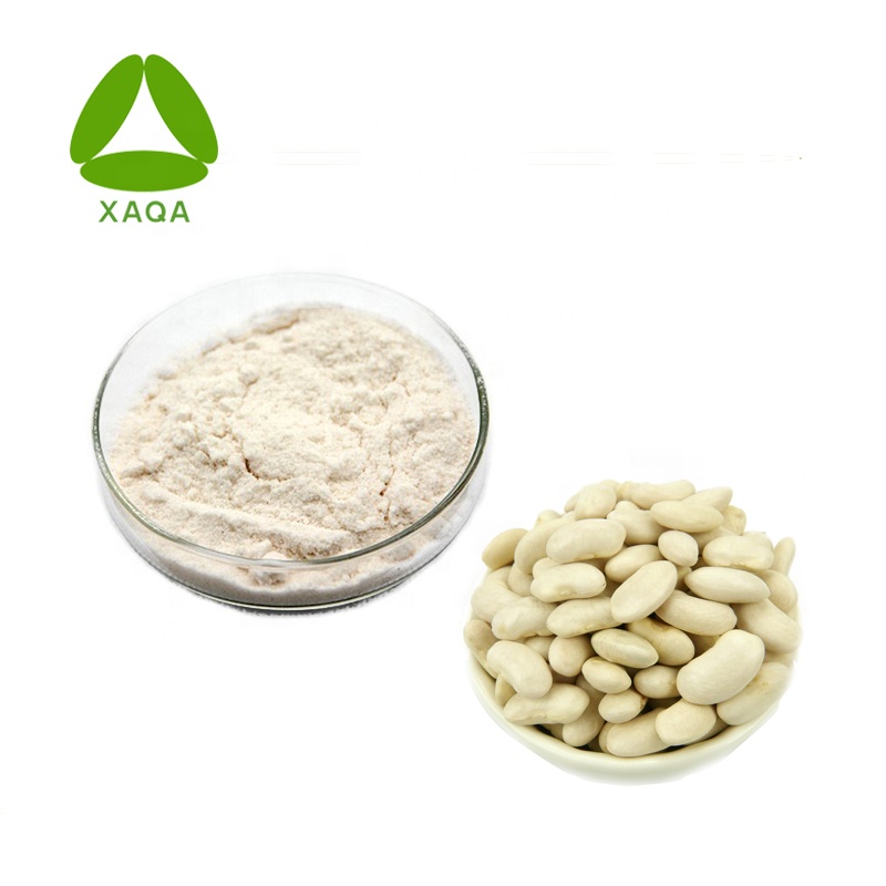 Plant Extract White Kidney Bean Phaseollin Powder