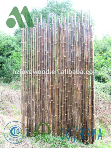 wild bamboo fence/wild screen/outside wild bamboo fencing/black bamboo fence