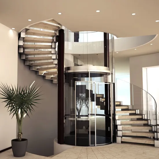 320kg Villa Elevator House Lift