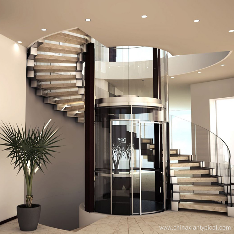 320kg Villa Elevator House Lift