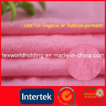 Knitted Dye Stretch Jacquard Nylon Spandex Fabric (WNE3107)