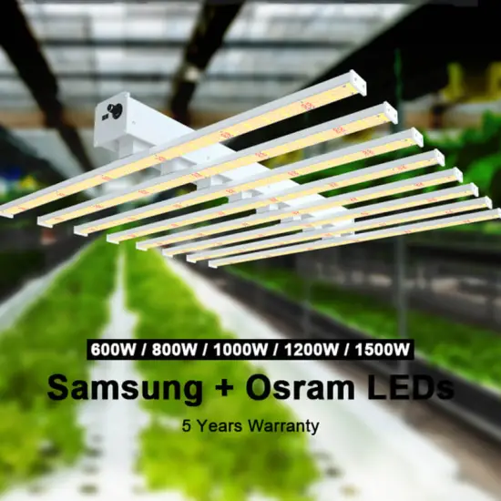 800W Led Grow Light Indoor Garden 4X4 Tent